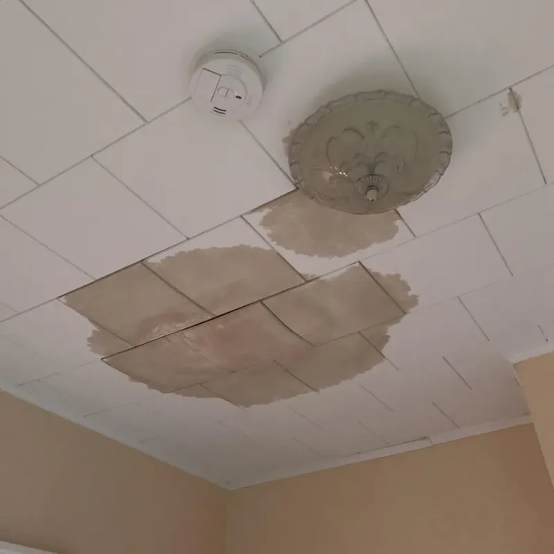 Ceiling Water Damage Repair in Houghton, MI