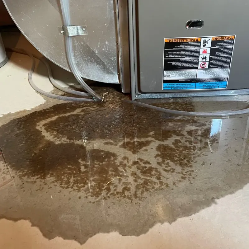 Pipe Burst and Leak Restoration in Houghton, MI