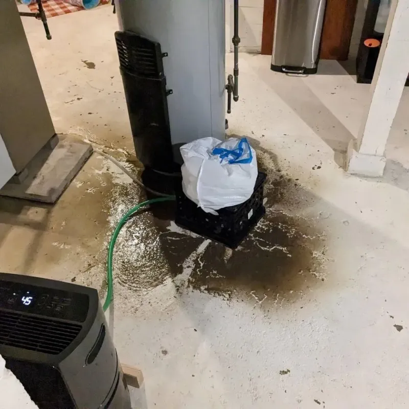 Sewage Backup Cleanup Service in Houghton, MI
